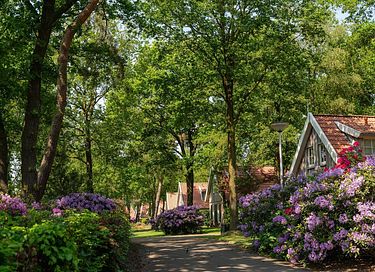 Huisdiervriendelijk verblijf bij het water - 45