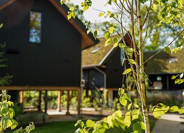 Prachtige natuurvilla op palen (5p) - 7