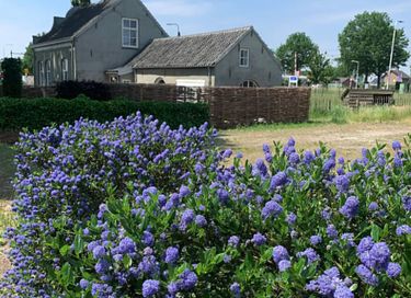 Relaxen en overnachten in een Wellnesshuisje - 16