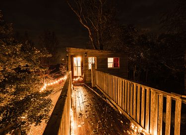 L'arbre a cabane avec un balcon dans un environnement naturel - 23