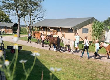 Glamping op Paarden & ponyboerderij - 4