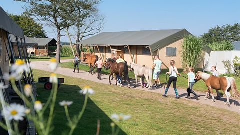 Glamping op Paarden & ponyboerderij - 4