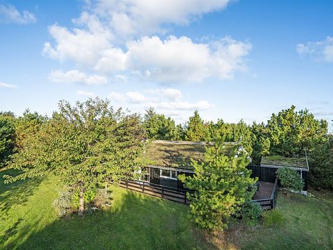 Logement de vacances vert pour 6 personnes au Danemark - 4