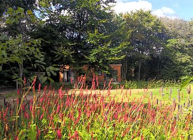 Hotel suite in the Drenthe countryside - 17