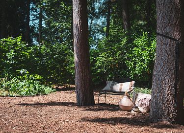 Design vakantiehuisje op de Veluwe - 20