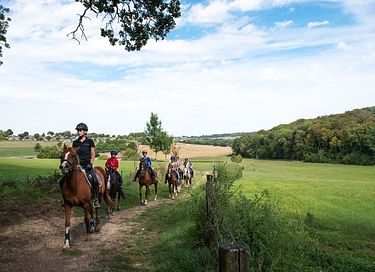  Glamping on Horse & pony farm glamping - 21