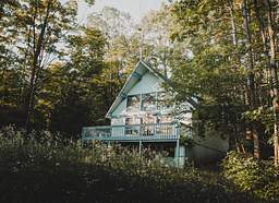 Cabane dans les arbres