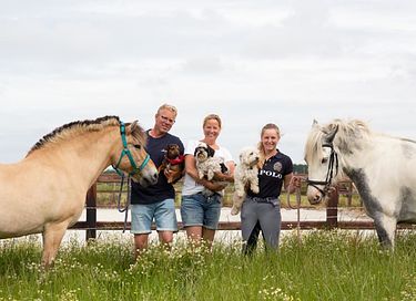  Glamping on horse farm near the coast - 19