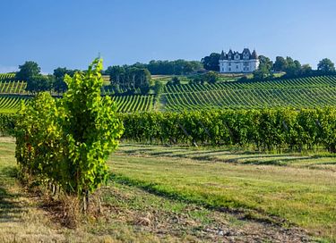 Safari lodge in the Dordogne - 26