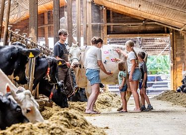 Glamping dans une ferme équestre et laitière - 17