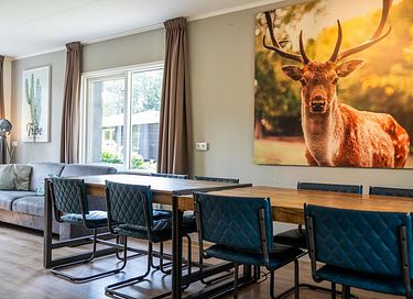 Group accommodation with cinema and wellness - 9