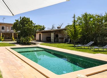 Groen vakantiehuis met veel privacy  - 14