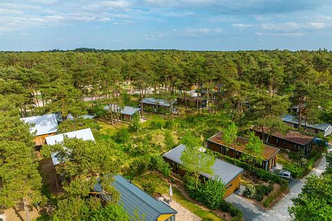 Gemütliche Ferienwohnung (4p) auf der Veluwe - 5