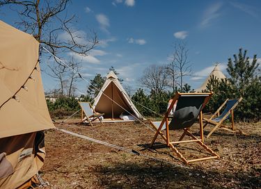 Festival-achtige sfeer op een pop-up camping - 15