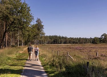Vakantiehuis (6p) met overdekt terras  - 32