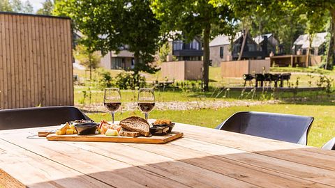 Wellness vakantiehuis in Maastricht (8 pers) - 4