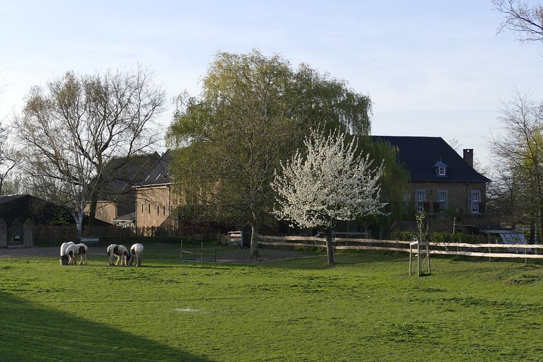 Historische overnachting voor 12 personen  - 1