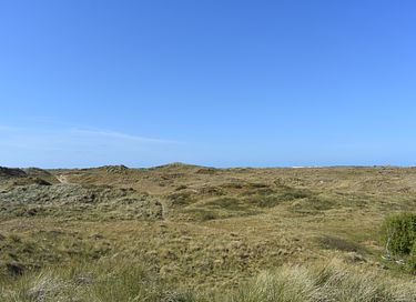 Cozy hotel close to the sea on Terschelling - 14