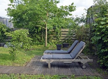 Gemütliches Ferienhaus in den Dünen von Nordholland - 32