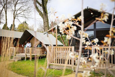 4-persoons lodge met eigen sanitair - 2