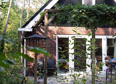 Ruim vakantiehuis in Veluwse bossen - 28