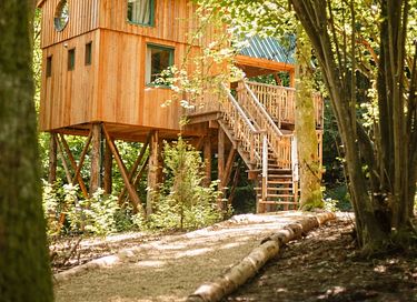 Romantic overnight stay among the trees - 2