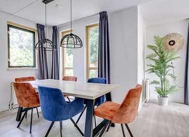 Vakantiehuis met grote tuin en sauna - 11