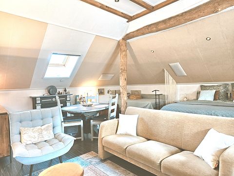 B&B with thatched roof in Drenthe - 4