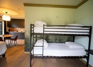 Bel hôtel forestier en bois  - 12