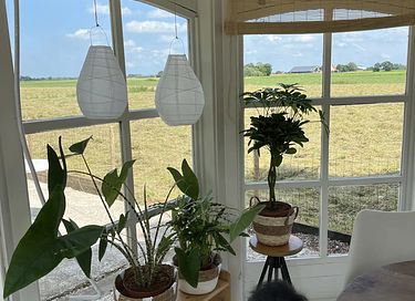 Sfeervolle B&B in Friesland - 17