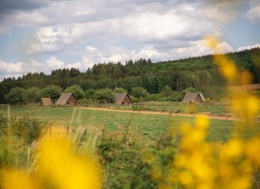 Luxe natuurhuisje in de Ardennen - 25
