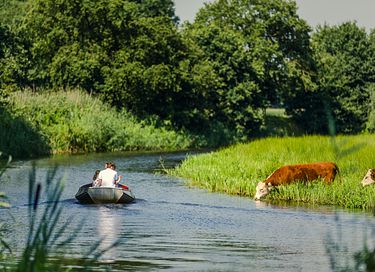 Maison dans les arbres à Overijssel au bord d'une rivière - 26