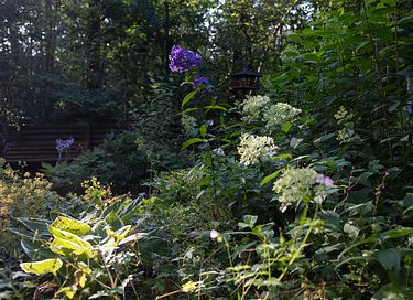 Ruim vakantiehuis in Veluwse bossen - 40
