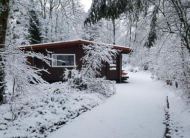 Geräumige Ferienwohnung in einem bewaldeten Gebiet - 17