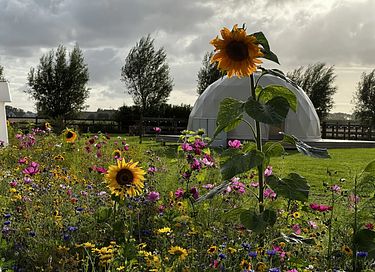 Romantischer Wellness-Aufenthalt in einem luxuriösen Dome - 14