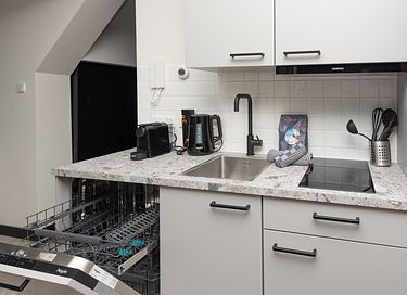 Appartement de luxe avec sauna et terrasse sur le toit - 9
