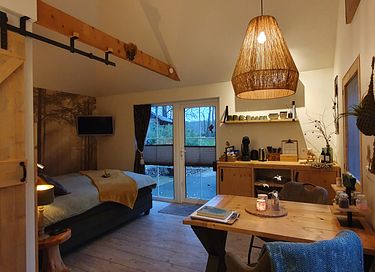 B&B in the forest with private swimming pond - 43