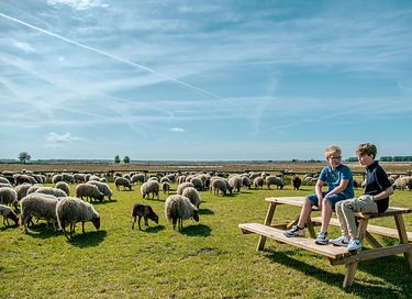 Sfeervolle vakantiewoning (4p) in Drenthe - 34