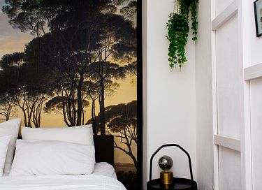 Boutique B&B in historisch centrum Harderwijk - 22