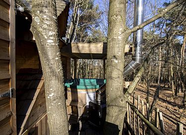Boomhut met hottub voor het hele gezin - 11