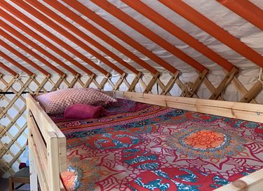 Yourte colorée dans un camping écologique à Groningue - 11