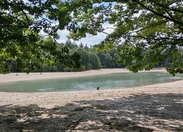 Logement de vacances en Drenthe (4 personnes) avec jacuzzi privé - 38