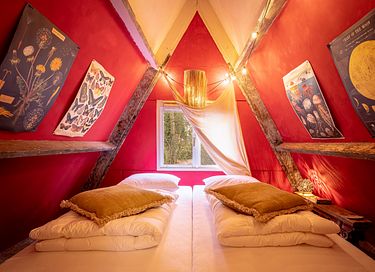 Knus A-frame huisje in de Belgische bossen - 14