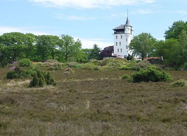 Gîte forestier avec bain à remous privé à Overijssel - 25