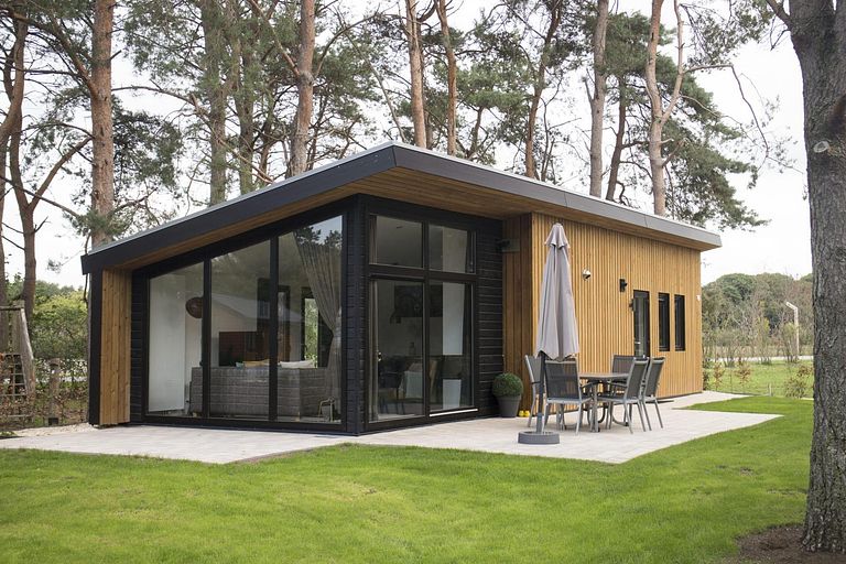 House (6p) on the Veluwe (dog allowed) - 1