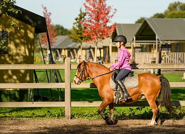  Glamping à la ferme à cheval et à poney - 16