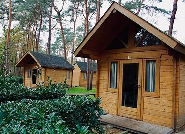 Trekkershut voor 4 personen in het bos - 6