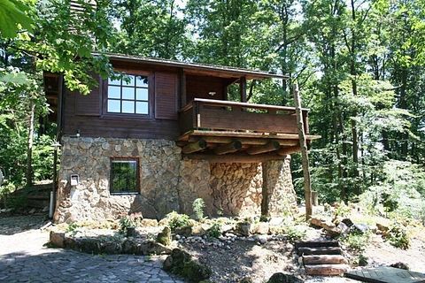 Leuke vakantiewoning in de Duitse natuur - 3