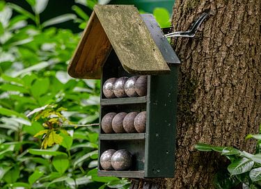 Cozy lodge in natural surroundings - 24