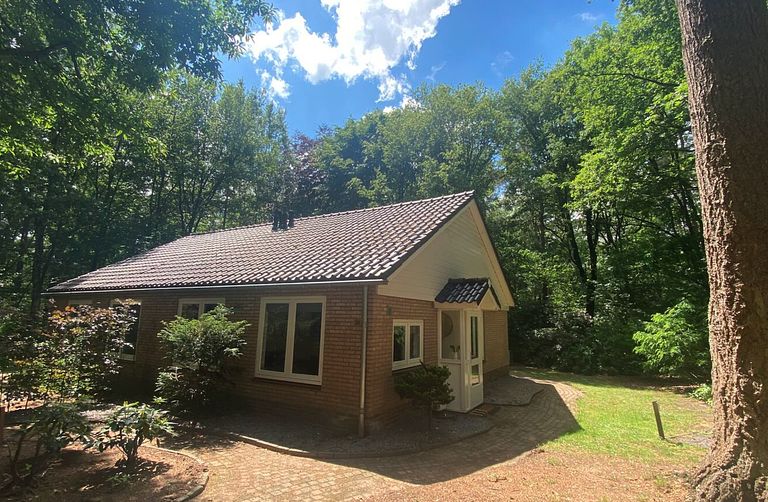 Forest cabin in the Veluwe on park with pool - 1